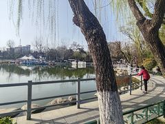 -莲湖公园