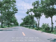 -荷花荡