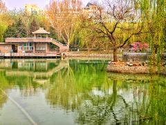 -黄村公园