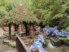 -大平台龙居瀑布旅游区
