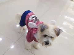 -安安宠物医院(情缘分院)