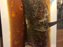 各种海鲜-船梆煮•蒸汽海鲜·炉火烤肉(五四广场店)