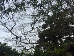 仰望-黄山温泉国际旅游度假区