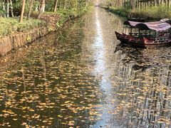 -合肥滨湖国家森林公园