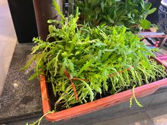 -魏铭鱼头捞饭(晋阳路店)