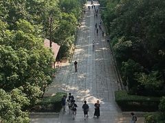-灵谷景区