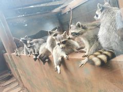 -昆明动物园