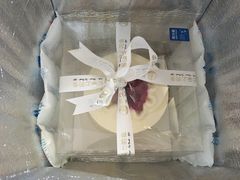 -云朵上的鱼(莘庄店)