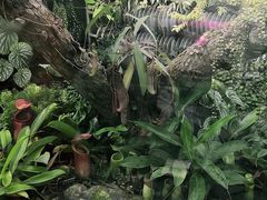 -国家植物园南园