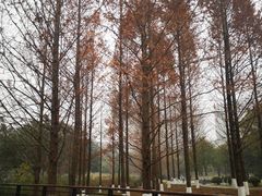 -沐仙湖湿地公园