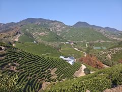 -莫干山风景区