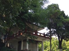 -上海市保健医疗中心(华东疗养院)