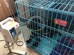 -瑞鹏宠物医院·内科·中兽医·骨科(苗圃店)