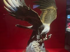 -广东省博物馆