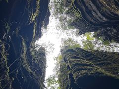 -梭布垭石林景区