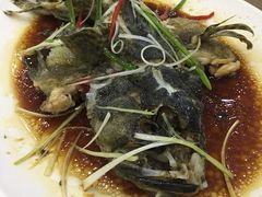 -顺峰渔港中国人的餐厅
