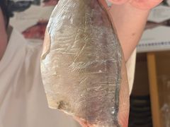 -镹·鱼料理  国产鱼使用店