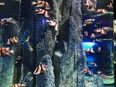 -福州罗源湾海洋世界旅游区