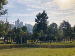 -重庆市江北嘴中央商务区中央公园