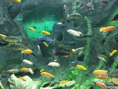 -常州海昌海洋探索馆
