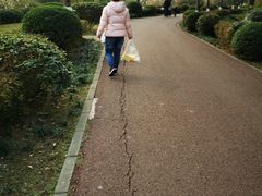 -白鹭湾湿地公园