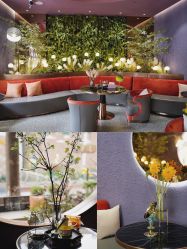 -花隐·美芙炫海菲秀皮肤管理中心