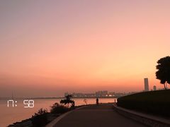 -深圳湾公园(南山区)