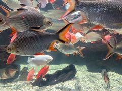 -太平洋海底世界