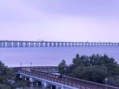 -宝安西湾红树林湿地公园