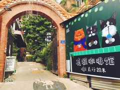 -有猫主题·治愈系猫咖(曾厝垵店)