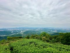 -黄埔油麻山森林公园