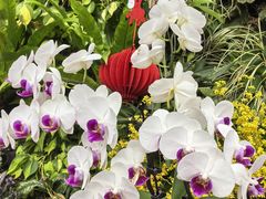 -北京植物园-展览温室