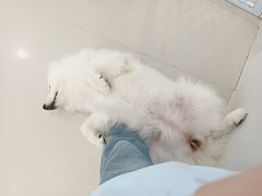 -共舞时光猫咖·狗咖(新街口店)