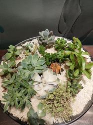 -娇玫荟SPA