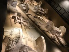 -洛阳周王城天子驾六博物馆