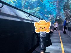 -大连圣亚海洋世界