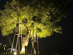 -观潮胜地公园