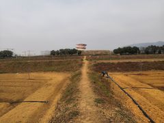 -光明小镇欢乐田园