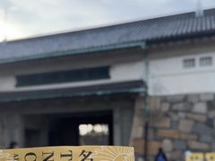 -名古屋城
