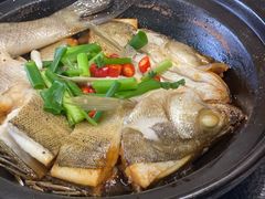 生焖鲈鱼-喜洲翰林餐厅(董家百年老宅店)