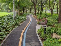 -陆家嘴中心绿地