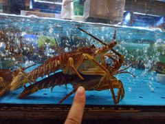 -徐记海鲜(梅溪新天地店)