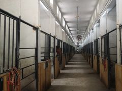 -枫露马术学院(藏书校区)