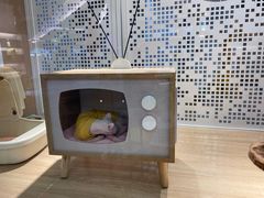 -BABIT巴比特宠物(MOMOPARK店)