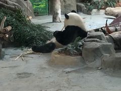 -灵玲国际马戏城