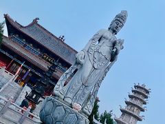-大槐树寻根祭祖园
