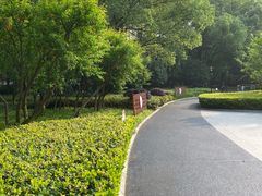 -徐家汇源景区-衡山公园