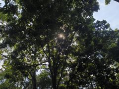-玉树公园