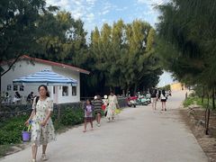 -长江澳风力发电景观区