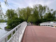 -大兴滨河森林公园